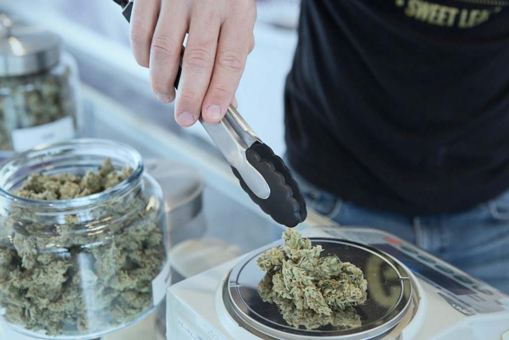 Legalisierung von Cannabis: Suchtforscher Prof. Dr. Heino Stöver plädiert für die Zulassung von risikoreduzierten Konsumformen